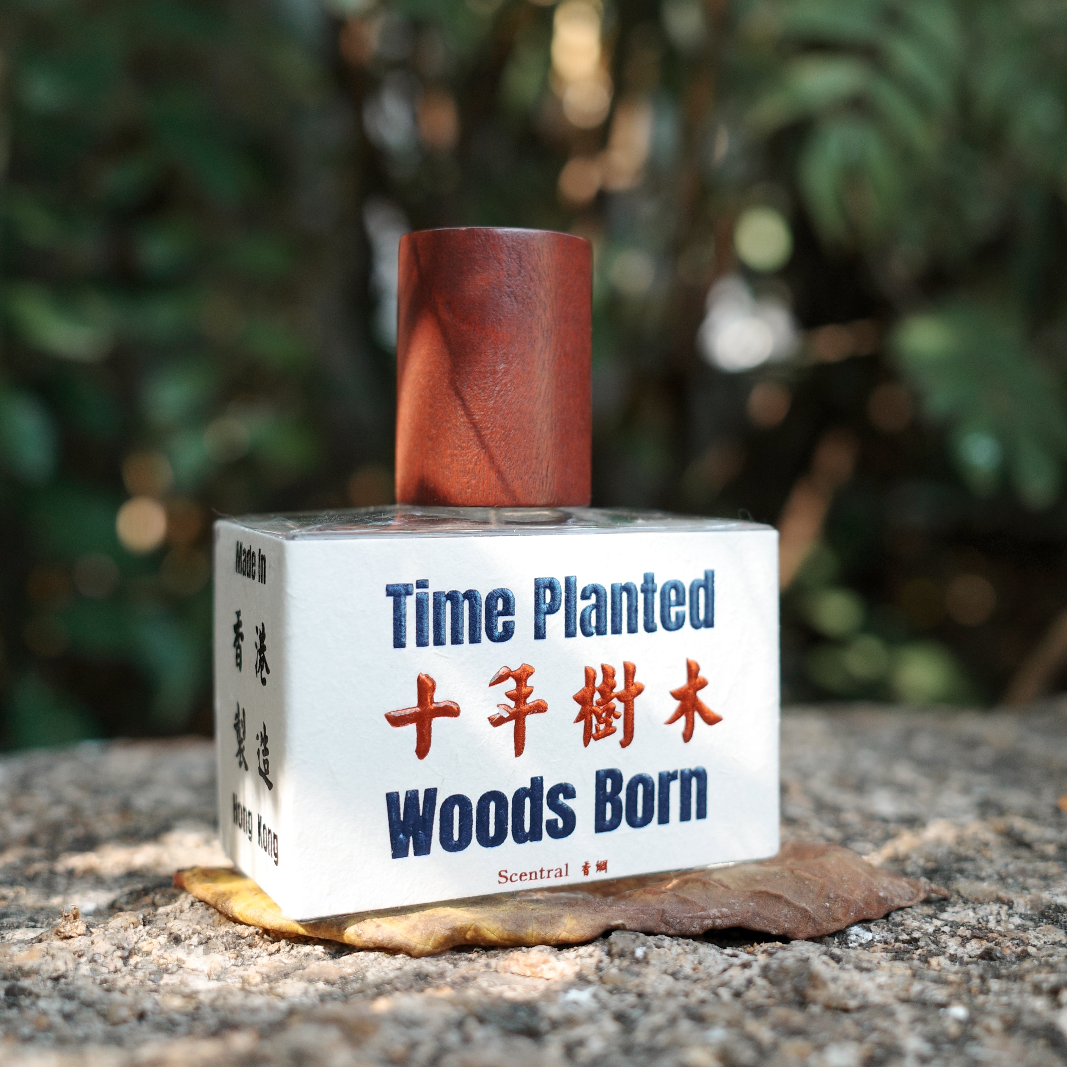 十年樹木 TIME PLANTED WOODS BORN